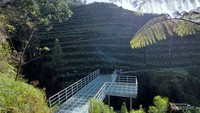 Jembatan kaca di Kaliangkrik Magelang