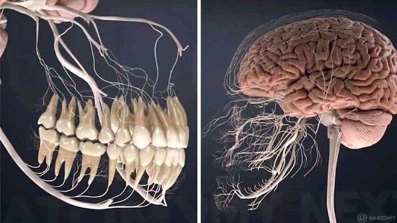 Fotoinet Kumpulan Foto Aneh, Menyeramkan Bikin Begidik