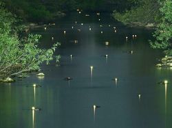 Kumpulan Foto Aneh, Menyeramkan Bikin Begidik