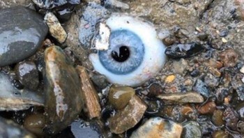 Seorang pria menemukan bola mata buatan yang tertaman di batu pantai. Foto: Boredpanda