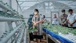 Kahiyang Ayu Ulang Tahun Ke-32, Ini Momen Kuliner Bersama Sang Suami