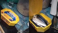 Kali ini bukan kaleng biskuit, melainkan wadah es krim. Wadah es krim ini digunakan untuk menyimpan ikan segar sebelum diolah jadi masakan. Foto: Instagram/Twitter