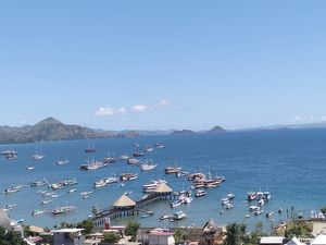 Kamar Hotel di Labuan Bajo Penuh! Kapal Wisata Buka Pintu, Mulai Rp 500 Ribu
