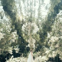 Laurinda merupakan salah satu anaknya yang termuda. Ia mengenyam pendidikan hingga S-2. Ia merupakan sarjana ekonomi dan master dari jurusan akuntansi.Foto: Weibo Laurinda Ho