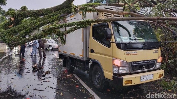 Pohon tumbang mobil boks di Jl Pajajaran, Kota Bandung, Jumat (21/4/2023)