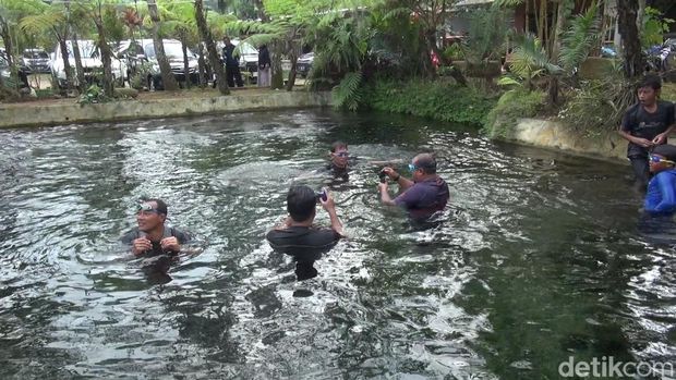 Wisata Mata Air Cimincul yang berada di Pasanggrahan, Kecamatan Kasomalang, Kabupaten Subang. Wisata Mata Air Cimincul yang berada di Pasanggrahan, Kecamatan Kasomalang, Kabupaten Subang.