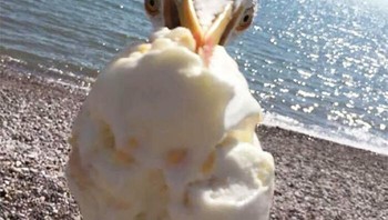 Ice cream diicip-icip burung. Foto: Boredpanda