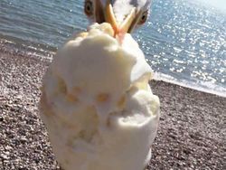 Foto Dijepret di Saat yang Tepat Bikin Tercengang dan Melotot