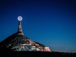 Foto Dijepret di Saat yang Tepat Bikin Tercengang dan Melotot