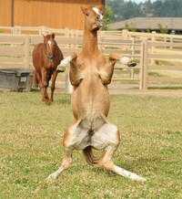 Foto waktu yang tepat