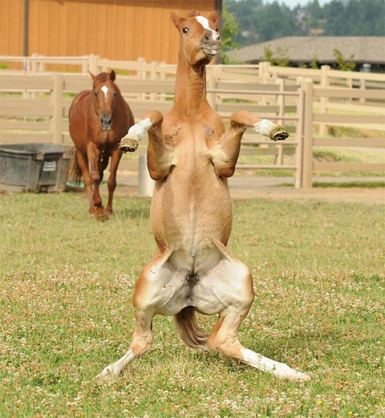 Foto waktu yang tepat