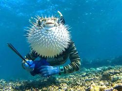 Foto Dijepret di Saat yang Tepat Bikin Tercengang dan Melotot