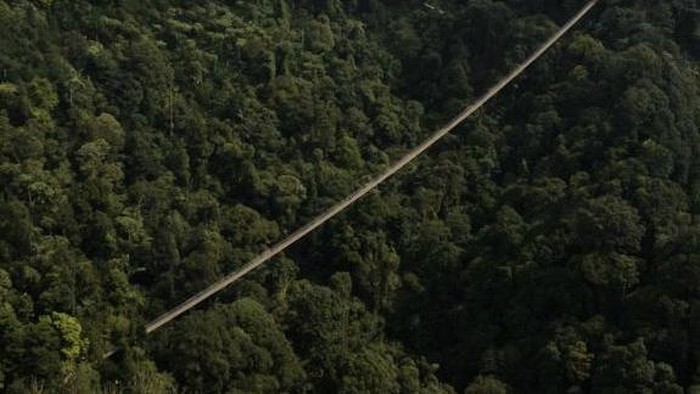 Jembatan Lembah Purba di Situ Gunung terpanjang se Asia Tenggara