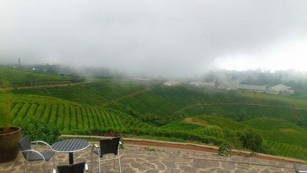 Malino Highlands