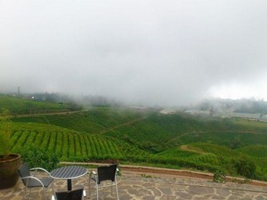 7 Rekomendasi Villa di Malino Keren dan Estetik, Cocok Buat Staycation