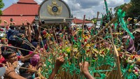 Hampir semua isi gunungan ludes tanpa sisa diambil warga.