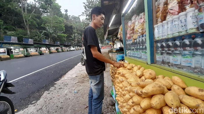 Pedagang ubi Cilembu di kawasan Cadas Pangeran, Kabupaten Sumedang, sedang menata barang dagangannya.