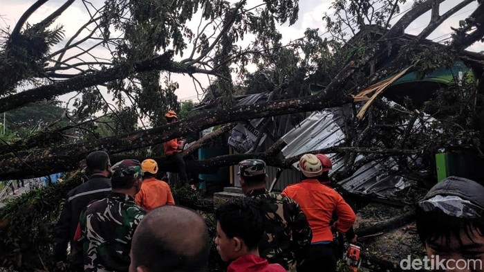 Pohon Tumbang Melintang Jalan - Timpa Rumah Warga, Sabtu (22/4/2023)