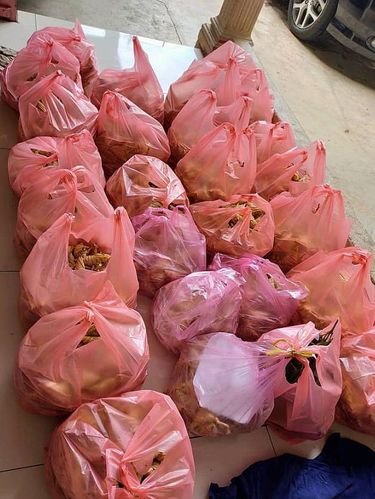 Unggahan wanita yang menceritakan bisnis ketupat orang tuanya mengalami kerugian karena ketupat busuk dan berjamur jelang lebaran.