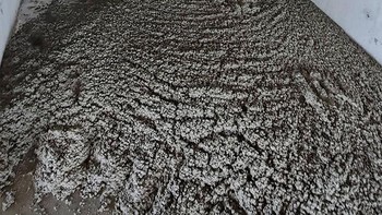 Oh, tidak! Semennya tumpah ke mana-mana. Foto: rabaful via Bored Panda