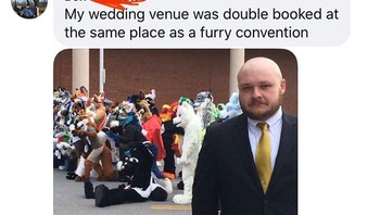 Lokasi pernikahannya disewa juga oleh segerombolan orang memakai kostum berbulu. Foto: Kndrp2 via Bored Panda