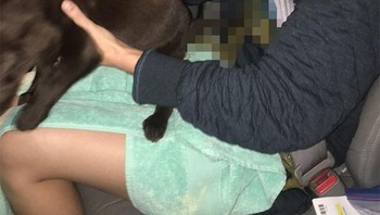 Anak anjingnya sudah tidak bisa menahan lagi rasa ingin buang air. Foto: scobow28 via Bored Panda