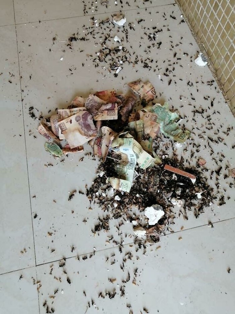10 Momen Sial yang Terabadikan Kamera