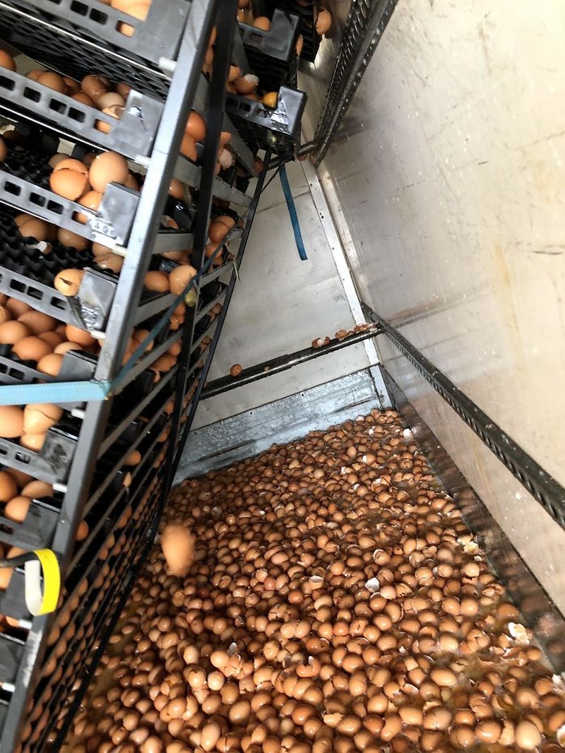 10 Momen Sial yang Terabadikan Kamera