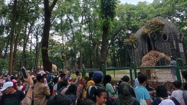 Kebun Binatang Ragunan di Lebaran Hari Kedua