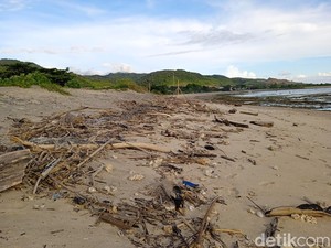 Kumuh, Pantai Lakey Penuh Sampah Kayu Besar Sisa Banjir