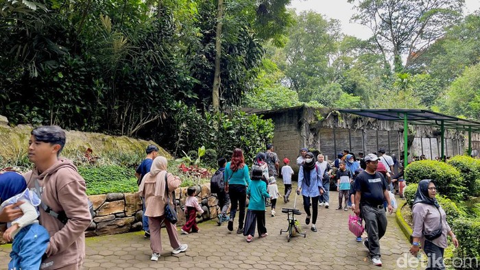 Pengunjung Kebun Binatang Bandung di hari kedua Lebaran meningkat 100 persen.