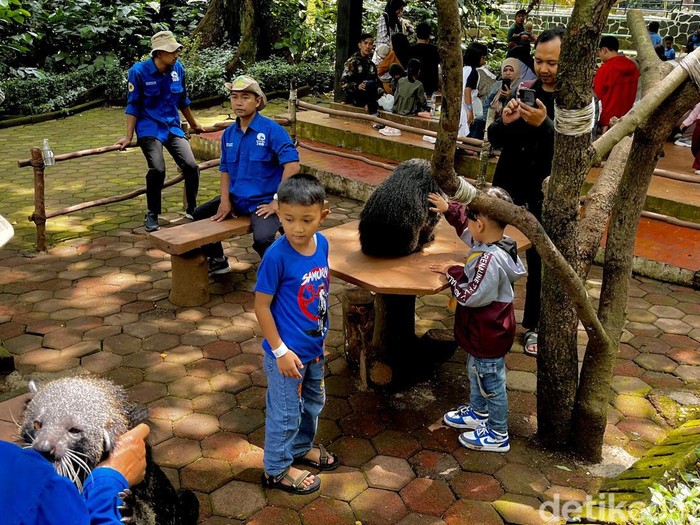 Pengunjung Kebun Binatang Bandung di hari kedua Lebaran meningkat 100 persen.
