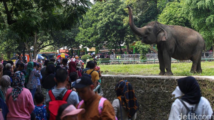 Ribuan pengunjung memadati Taman Margasatwa Ragunan, Jakarta, Minggu (23/4/2023).