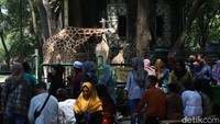 Taman Margasatwa Ragunan masih menjadi tempat favorit warga DKI Jakarta dan sekitarnya untuk menghabiskan waktu liburan lebaran 2023.