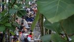 Ramainya Wisata Pohon Jati yang Lagi Ngehits di Puncak Bogor