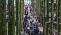 Sejumlah pengunjung menikmati keindahan alam di wisata kebun pohon jati, Megamendung, Puncak, Kabupaten Bogor, Jawa Barat, Jumat (21/4/2023). 
