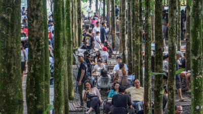 Ramainya Wisata Pohon Jati yang Lagi Ngehits di Puncak Bogor