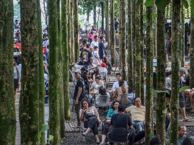 Ramainya Wisata Pohon Jati yang Lagi Ngehits di Puncak Bogor