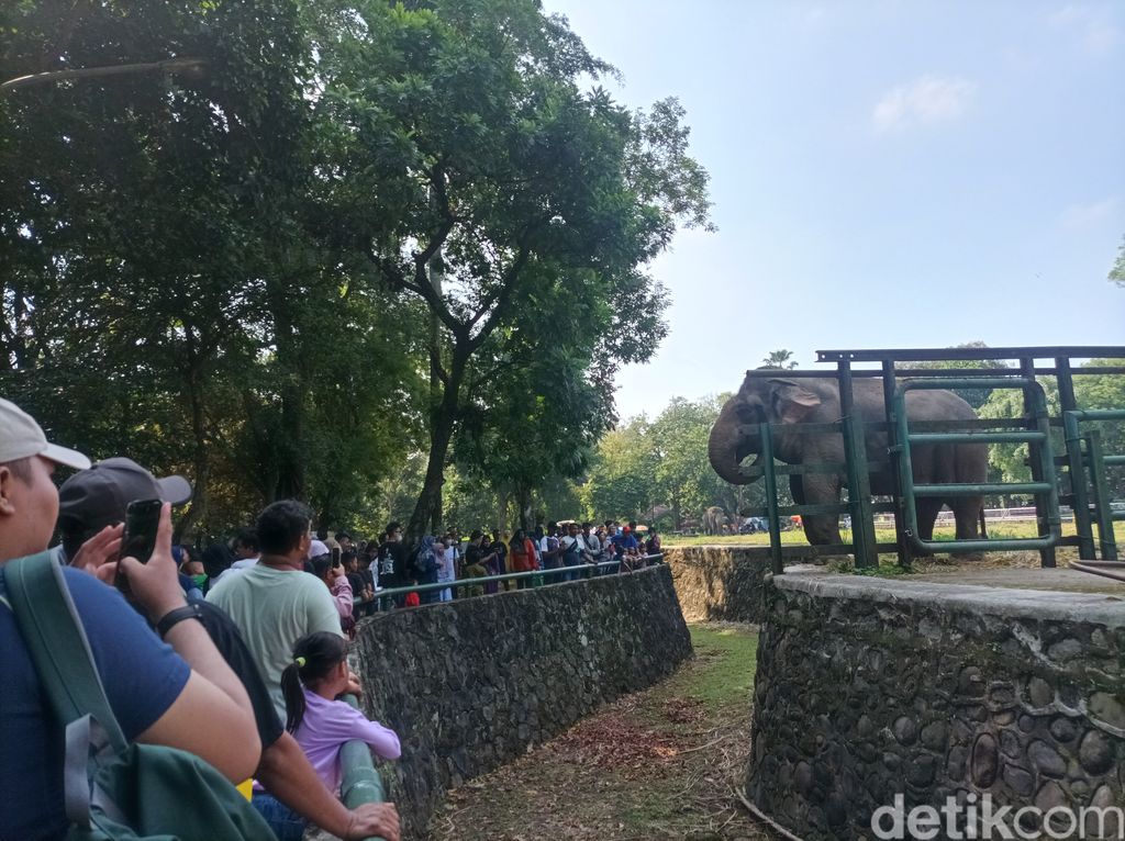 Suasana Kebun Binatang Ragunan pada Minggu (23/4/2023)
