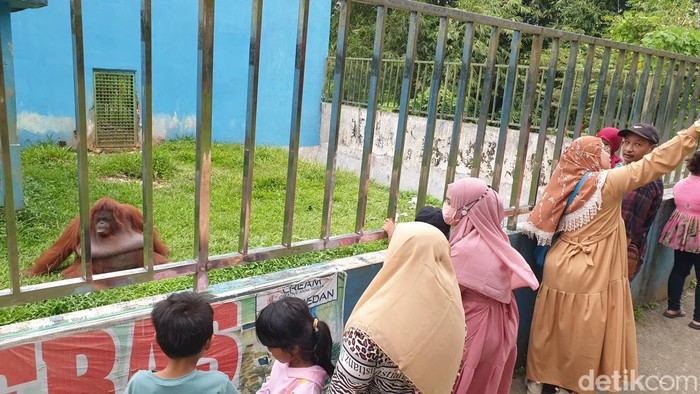 Suasana warga berwisata ke Medan Zoo, Kota Medan, Minggu (23/4/2023) (Goklas Wisely/detikSumut).