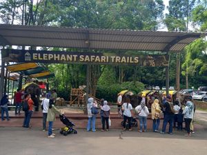 9.000 Pelancong Kunjungi Taman Safari Bogor di Hari Kedua Lebaran