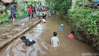Beberapa dari mereka sengaja berkelompok 4-5 orang, bekerja sama supaya ikan dapat terkumpul di satu titik agar lebih mudah menangkapnya. Warga benar-benar menangkap ikan dengan tangan kosong, bagi yang menggunakan jala atau alat lainnya akan didiskualifikasi. (Foto: Dadang Hermansyah/detikJabar).