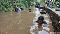 Ikan yang disebar pun hanya ikan mas atau kancra dan nilem. Dua jenis ikan tersebut tidak memiliki duri sehingga tidak melukai tangan saat ditangkap. Berbeda dengan ikan jaer nila atau gurami yang punya duri. (Foto: Dadang Hermansyah/detikJabar). 