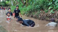 Terlihat puluhan anak-anak dan orang dewasa turun ke saluran irigasi yang sudah dibendung itu. Mereka kemudian membungkuk dan merentangkan tangan sambil berjalan. Tujuannya untuk meraba ikan dan menangkapnya. (Foto: Dadang Hermansyah/detikJabar). 