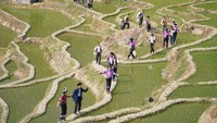 Giat ini pun dilakukan menggunakan pakaian tradisional yang khas.