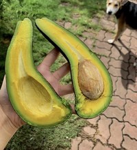 fotoinet deretan foto tak biasa yang langka terjadi