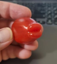 fotoinet deretan foto tak biasa yang langka terjadi
