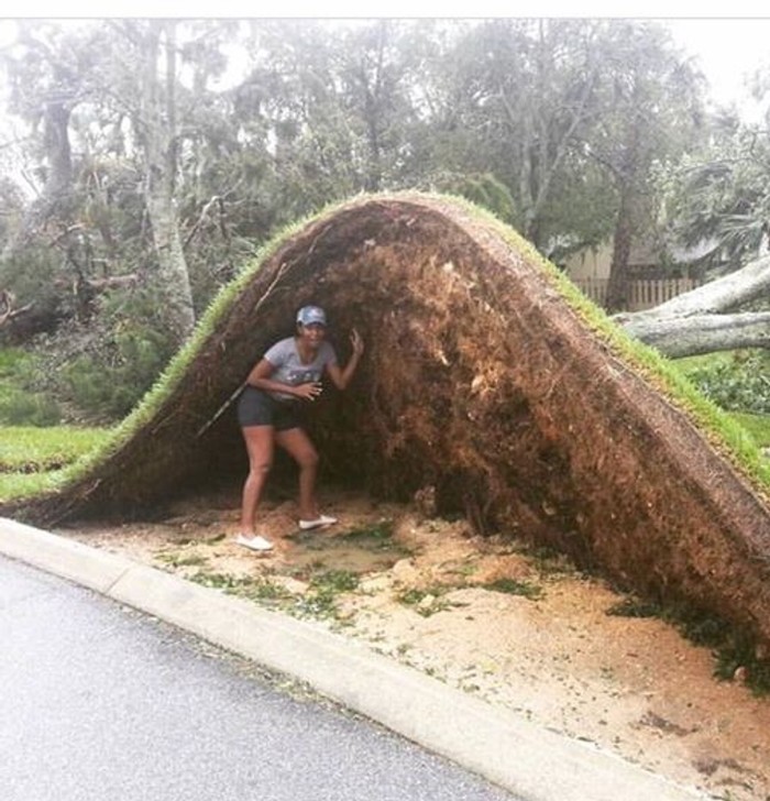 fotoinet deretan foto tak biasa yang langka terjadi