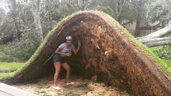 Efek badai Matius yang bikin hamparan rumput ini jadi bergelombang.  Foto: Brightside