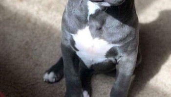 Foto kesilauan pun tampak keren. Foto: Boredpanda